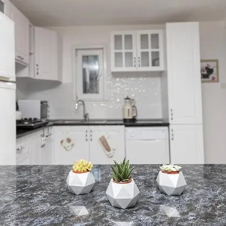 Amazing Triplex Fantastic Sea View In Turkbuku Bodrum